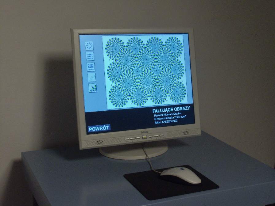 Program komputerowy przedstawiający kilkadziesiąt iluzji optycznych. Fot. G. Zygier